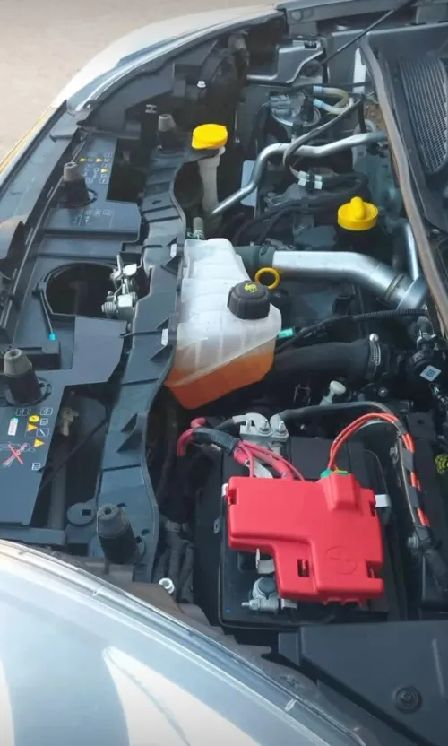 Renault Kangoo 2021 Privilège plus