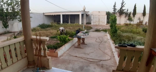 Vente Terrain Agricole Sidi bel abbes Amarnas