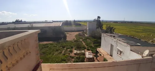Vente Terrain Agricole Sidi bel abbes Amarnas