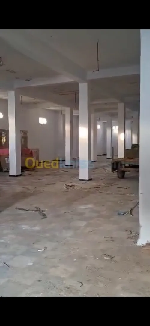 Location Hangar - Usine Alger Birtouta