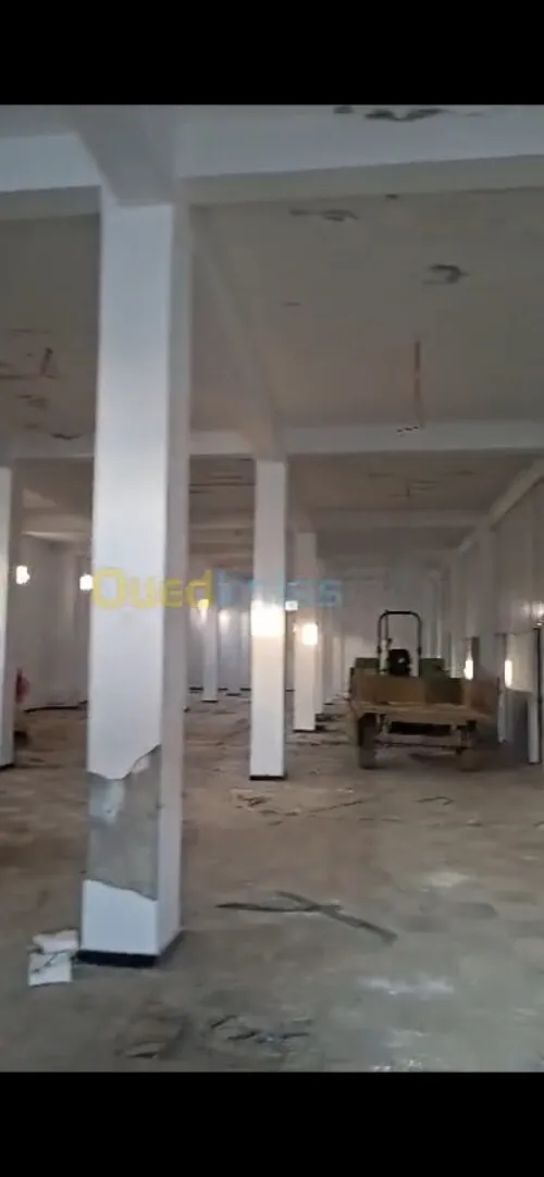 Location Hangar - Usine Alger Birtouta