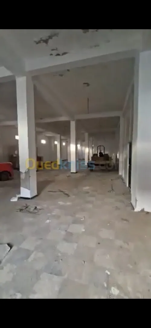 Location Hangar - Usine Alger Birtouta