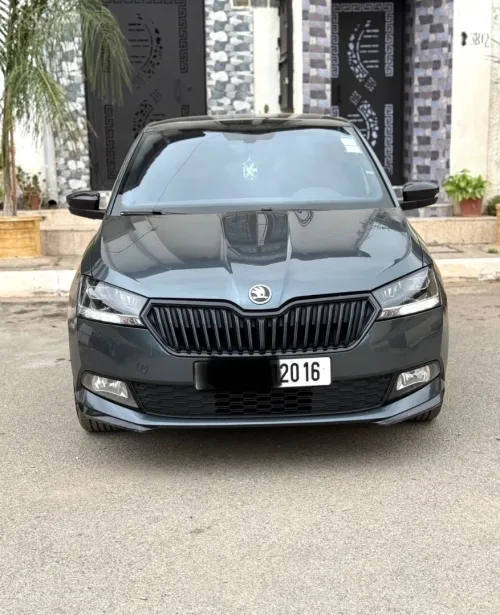Skoda Fabia 2020 Monte Carlo