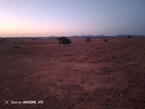 Vente Terrain Agricole Saida Youb