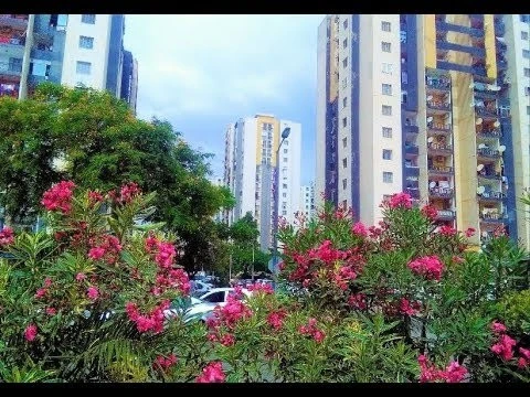 Cherche location Appartement Alger Bab ezzouar