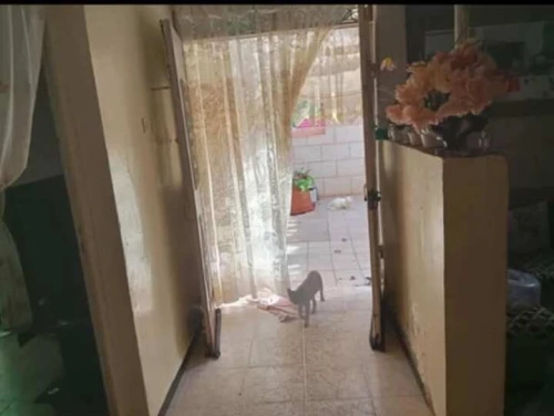 Vente Villa Oran Arzew