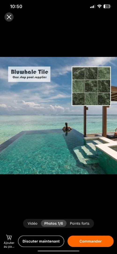 Pool , Piscine mosaique  , Hammam , salle de bain ,