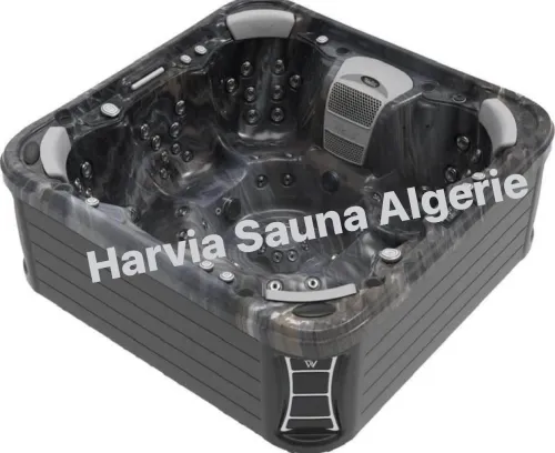 Spa Jacuzzi Wellis