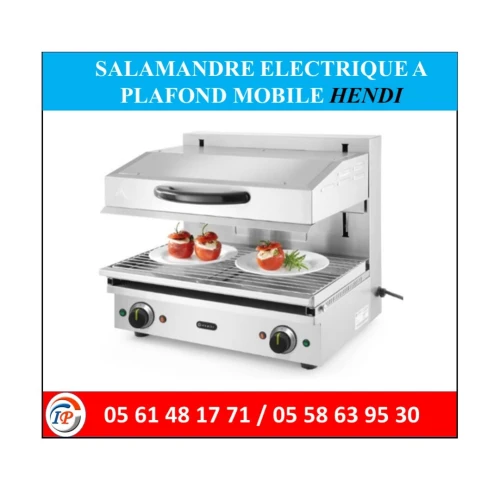 SALAMANDRE ELECTRIQUE A PLAFOND MOBILE HENDI