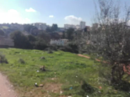 Vente Terrain Alger El biar