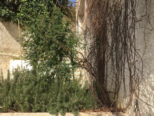 Location Villa Alger Hydra