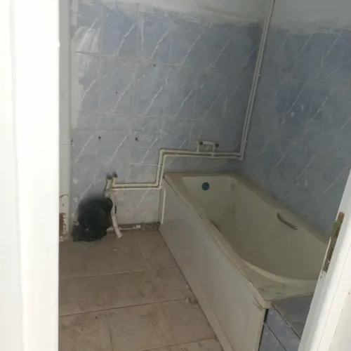 Vente Appartement F4 Alger Zeralda