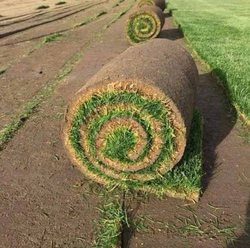 Espace vert naturel 