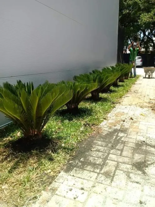 Espace vert naturel 