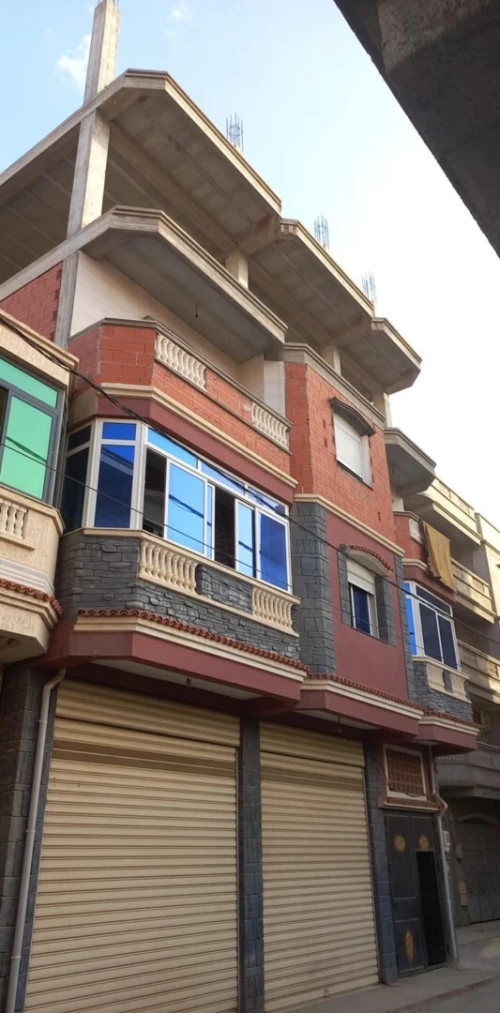 Vente Villa Alger Les eucalyptus
