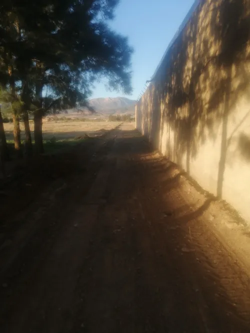 Vente Terrain Ain defla Bir ould khelifa