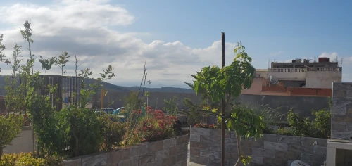 Vente Villa Tipaza Douaouda