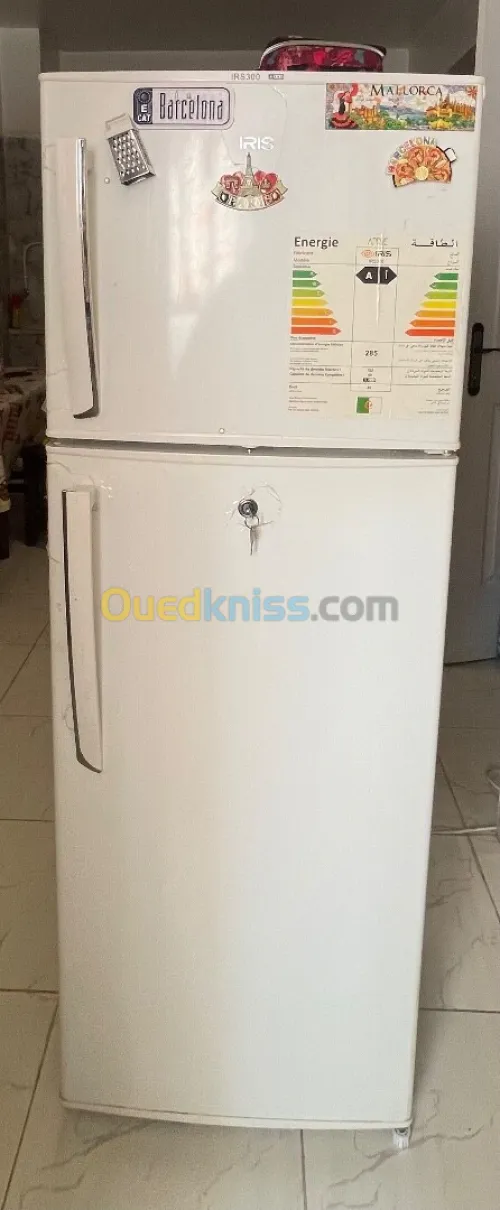 Refrigirateur iris 300 Blanc
