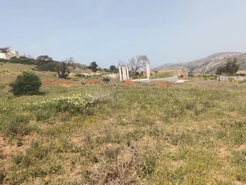 Vente Terrain Tlemcen Honaine