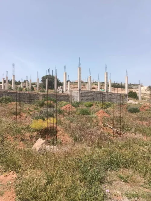 Vente Terrain Tlemcen Honaine