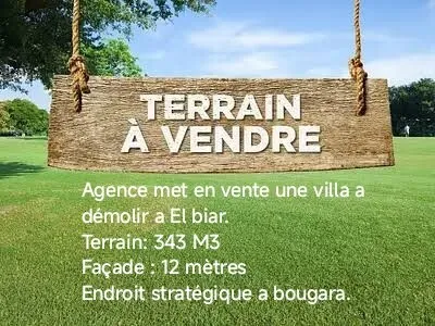 Vente Terrain Alger El biar