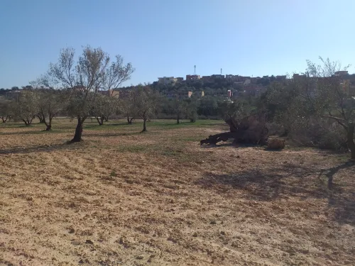 Vente Terrain Bouira Ath mansour taourirt