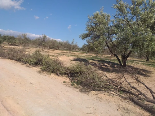 Vente Terrain Bouira Ath mansour taourirt