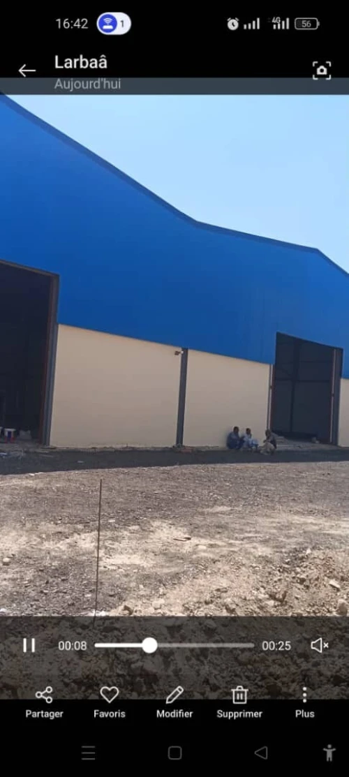 Location Hangar Blida Meftah