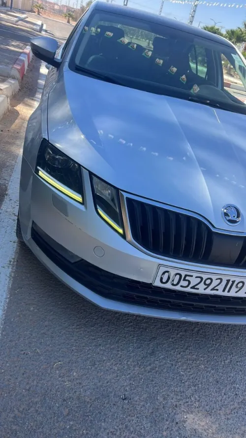 Skoda Octavia 2019 Elegance DGS