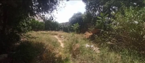 Vente Villa Tlemcen Tlemcen