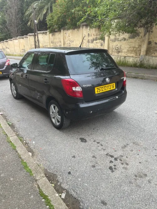 Skoda Fabia 2013 Fresh