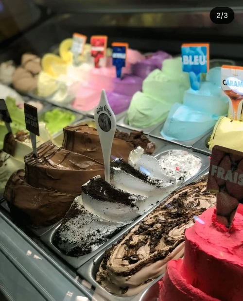 (ZANZOU GLACE GELATO ) MAISON DE FABRICATION ET VENTE EN GROS DE GLACE GELATO ITALIENNE(بيع مثلجات جيلاتو للمحلات)