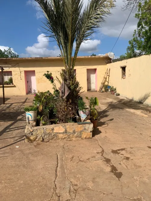 Vente Terrain Agricole Tlemcen Tlemcen