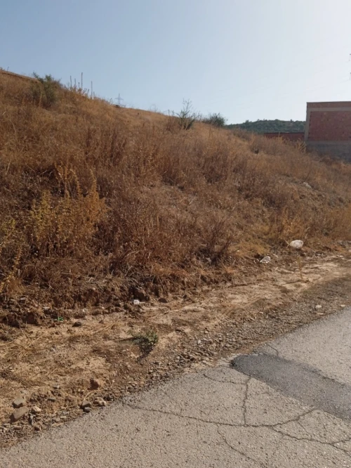 Vente Terrain Bouira Ain el turc