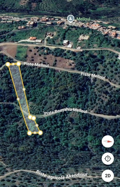 Vente Terrain Tizi Ouzou Beni douala