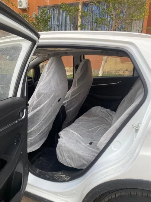 Geely GX3 PRO  2025 Livane
