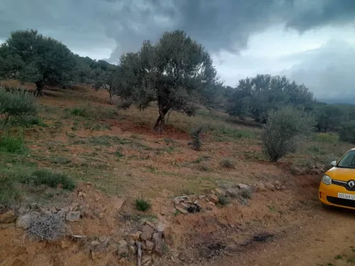 Vente Terrain Béjaïa Akbou