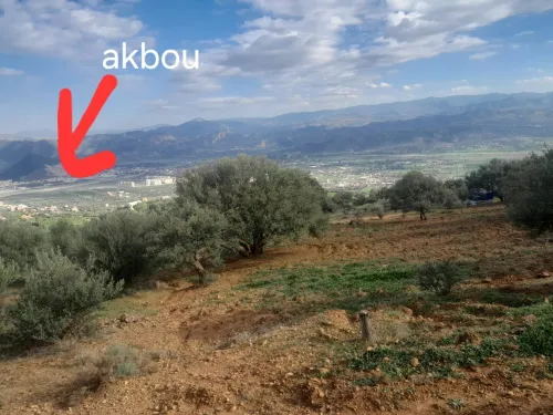 Vente Terrain Béjaïa Akbou