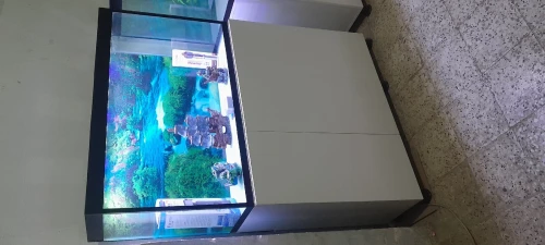 Aquarium avec Meuble 