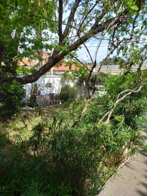 Vente Villa Alger El biar