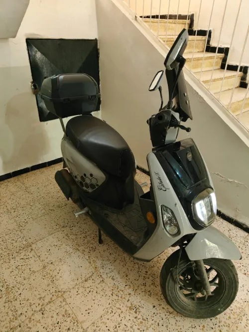 Vms Estate 