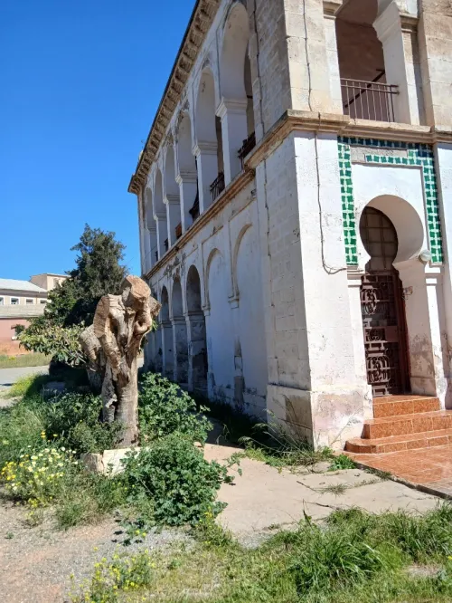 Vente Terrain Oran Oran