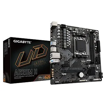 CARTE MERE GIGABYTE A620M H 