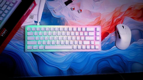 CLAVIER CHERRY XTRFY K5V2 COMPACT MECANIQUE RED SWITCH WHITE