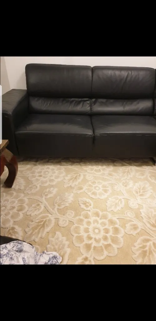 Salon veritable cuir