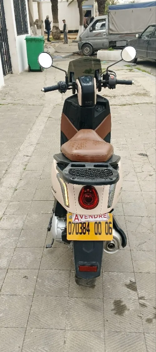 Vms GEMMA 2025