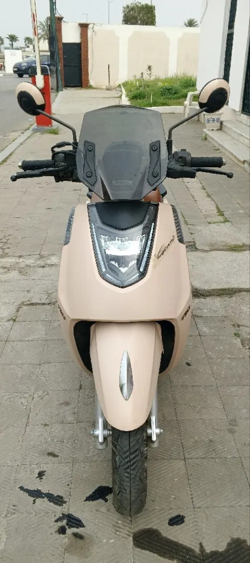 Vms GEMMA 2025