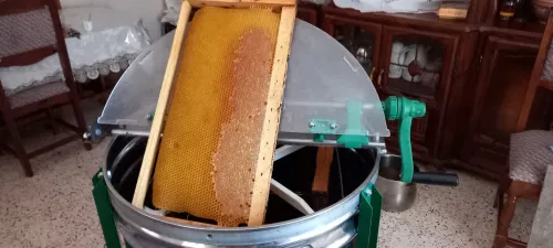 djurdjura miel