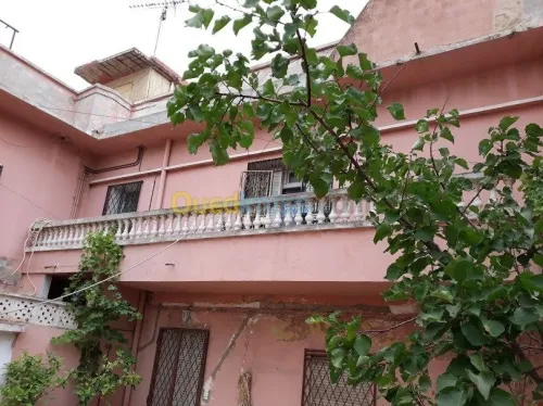 Vente Immeuble Oran Oran