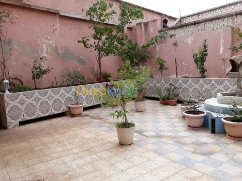 Vente Immeuble Oran Oran